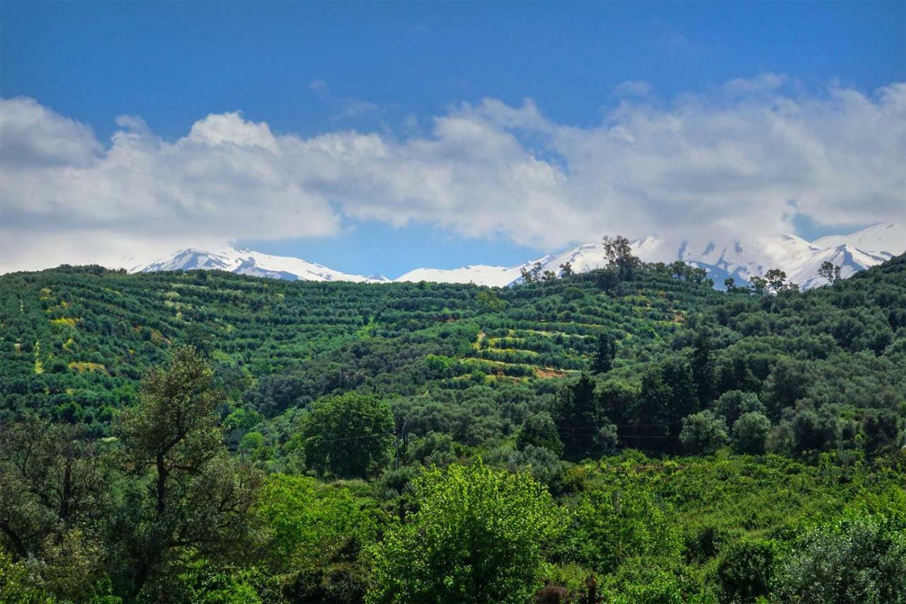 Anthos Village Ajá Kültér fotó